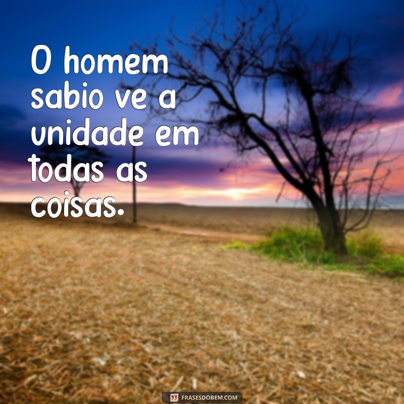 Frases Inspiradoras da Bhagavad Gita: Sabedoria Eterna para a Vida 