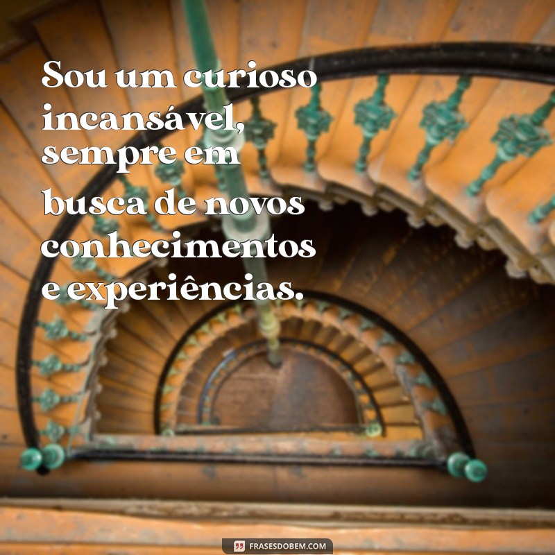 sobre minha pessoa Sou um curioso incansável, sempre em busca de novos conhecimentos e experiências.