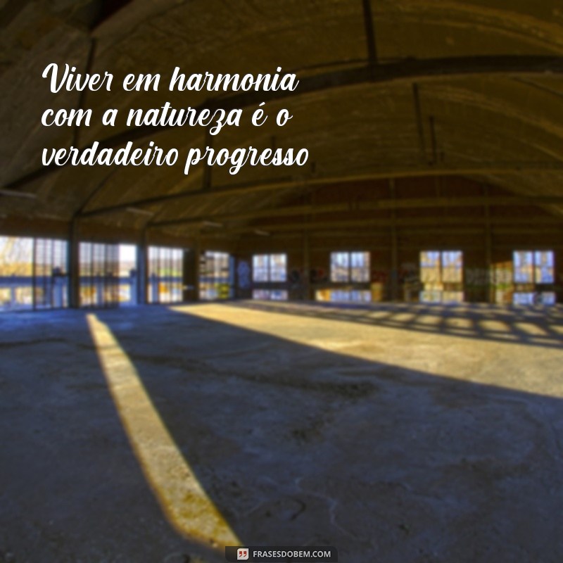 Frases Inspiradoras sobre o Meio Ambiente para Conscientização e Ação 