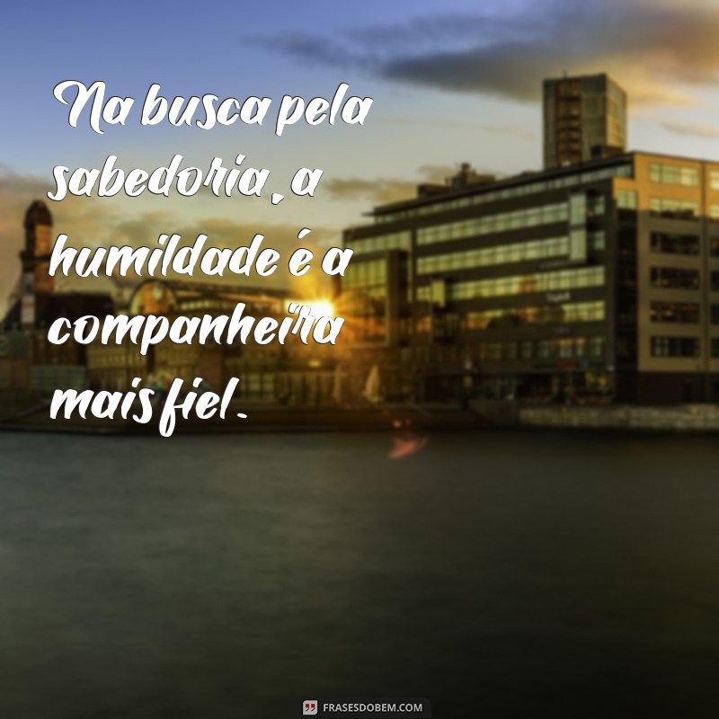 Frases Inspiradoras de Humildade para Status: Transmita Sabedoria e Simplicidade 