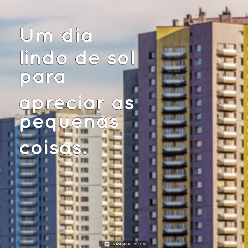 10 Maneiras de Aproveitar um Dia Lindo de Sol ao Ar Livre 