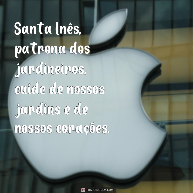 Conheça as mais belas frases de Santa Inês para inspirar sua fé e devoção 