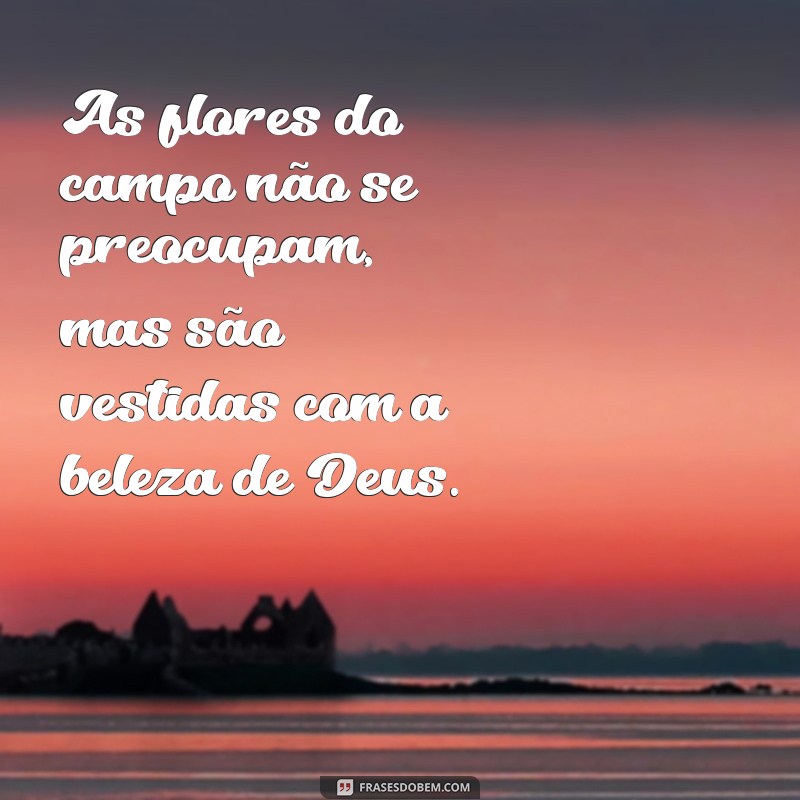 Frases Inspiradoras de Jesus Cristo para Iluminar Seu Dia 