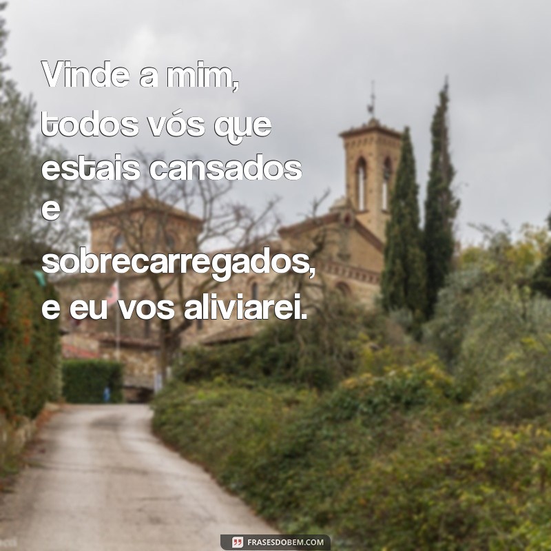 Frases Inspiradoras de Jesus Cristo para Iluminar Seu Dia 