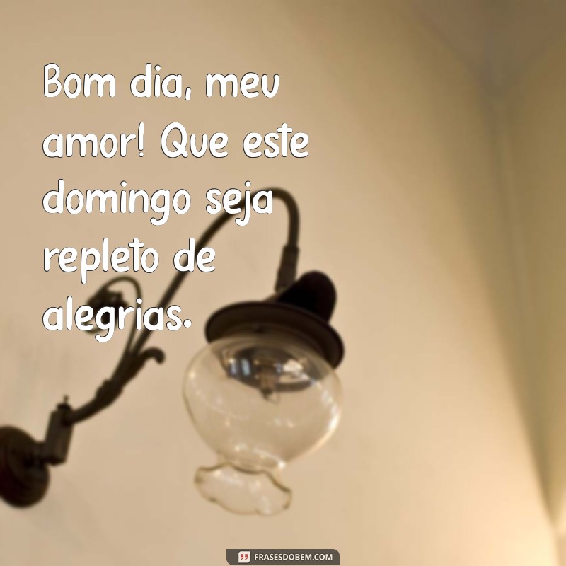 bom dia meu amor feliz domingo Bom dia, meu amor! Que este domingo seja repleto de alegrias.