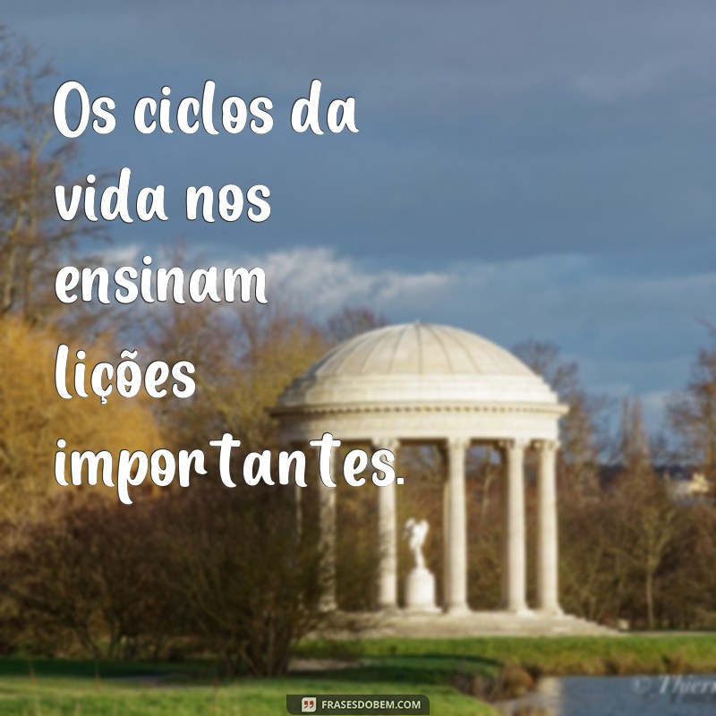 frases ciclos frases Os ciclos da vida nos ensinam lições importantes.