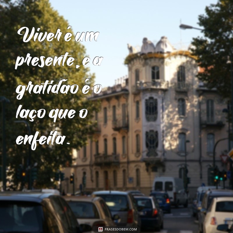 Frases Bonitas para Inspirar e Encantar: Encontre a Perfeita para Você 