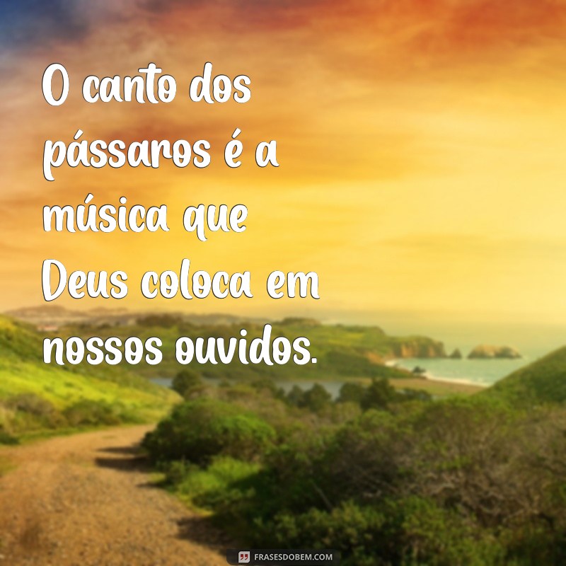 Frases Inspiradoras sobre Deus e a Natureza: Reflexões para a Alma 