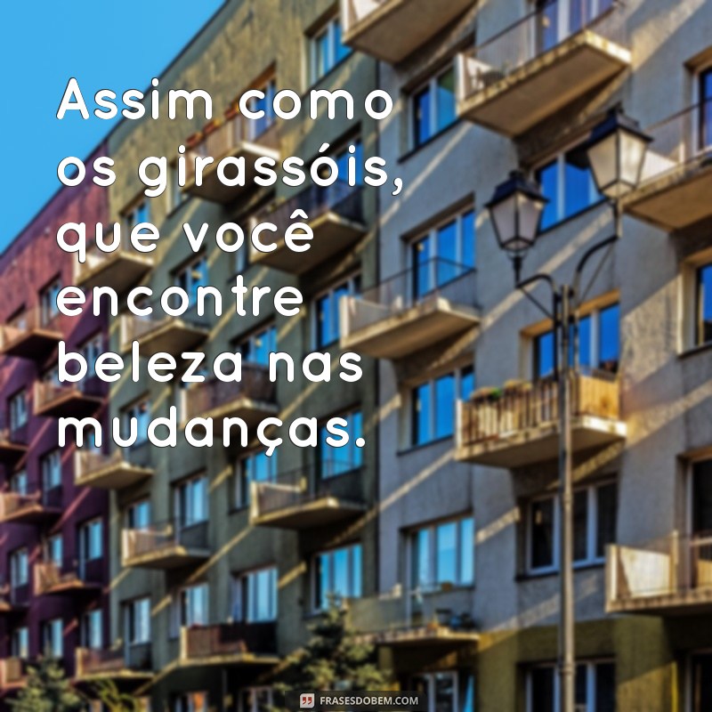 Frases Inspiradoras sobre Girassóis: Luz e Alegria em Palavras 