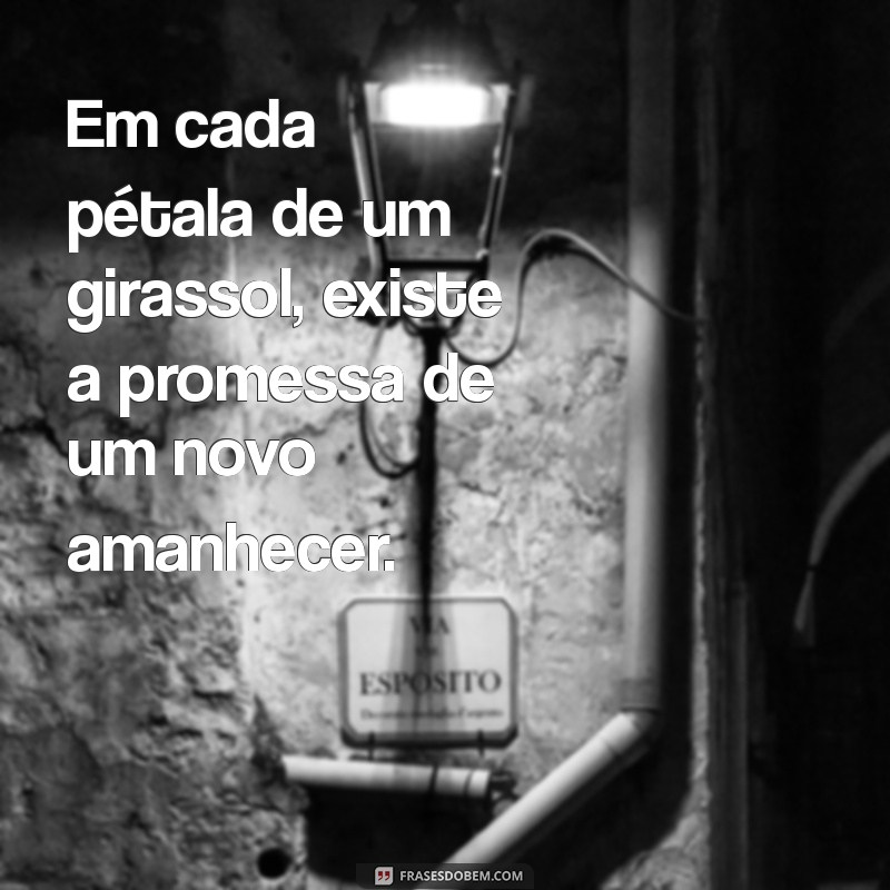 Frases Inspiradoras sobre Girassóis: Luz e Alegria em Palavras 