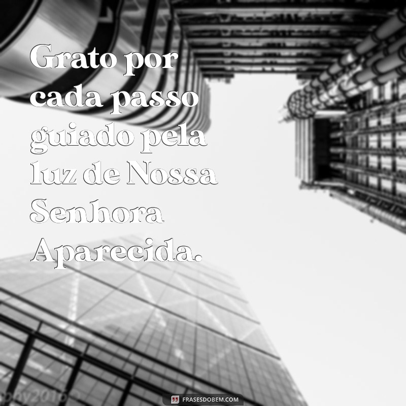 Frases de Agradecimento a Nossa Senhora Aparecida: Inspirações para Expressar Gratidão 