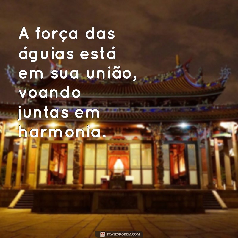 Frases Inspiradoras: Ande com Águias e Eleve Sua Vida 