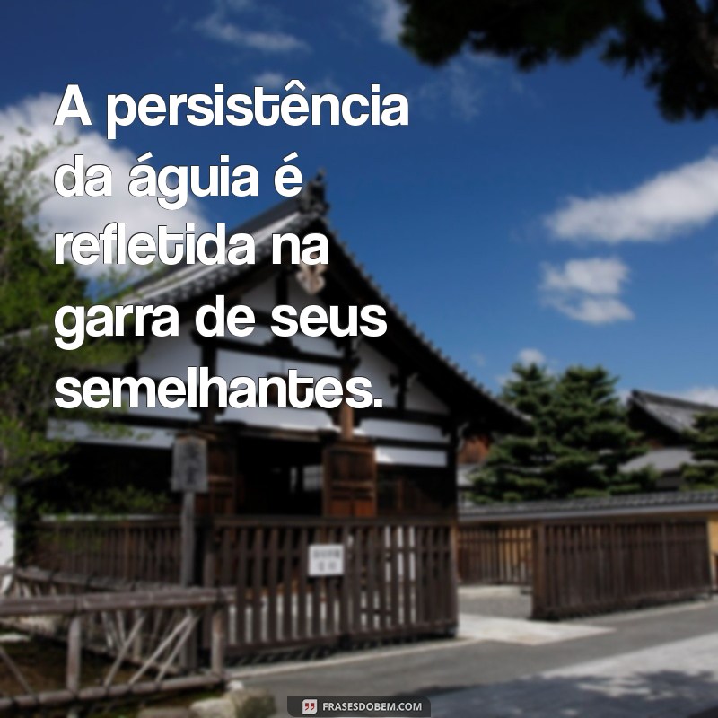 Frases Inspiradoras: Ande com Águias e Eleve Sua Vida 