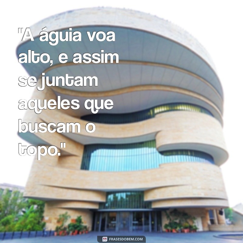 frases aguia anda com aguia 