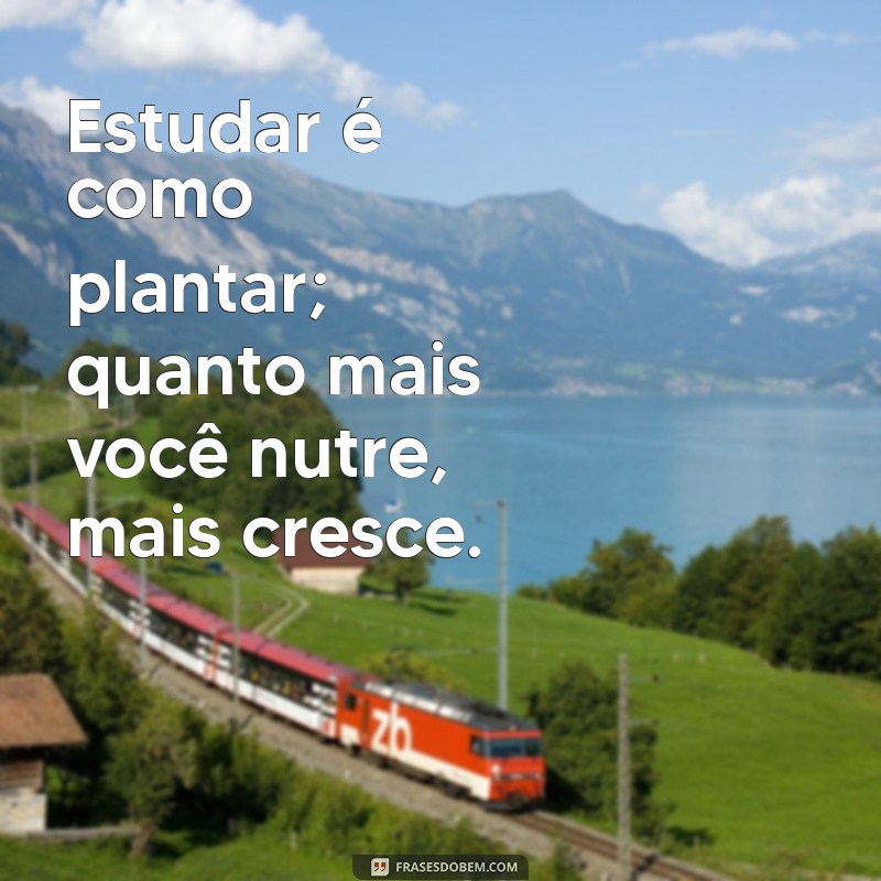 Frases Motivacionais Poderosas para Impulsionar Seus Estudos 