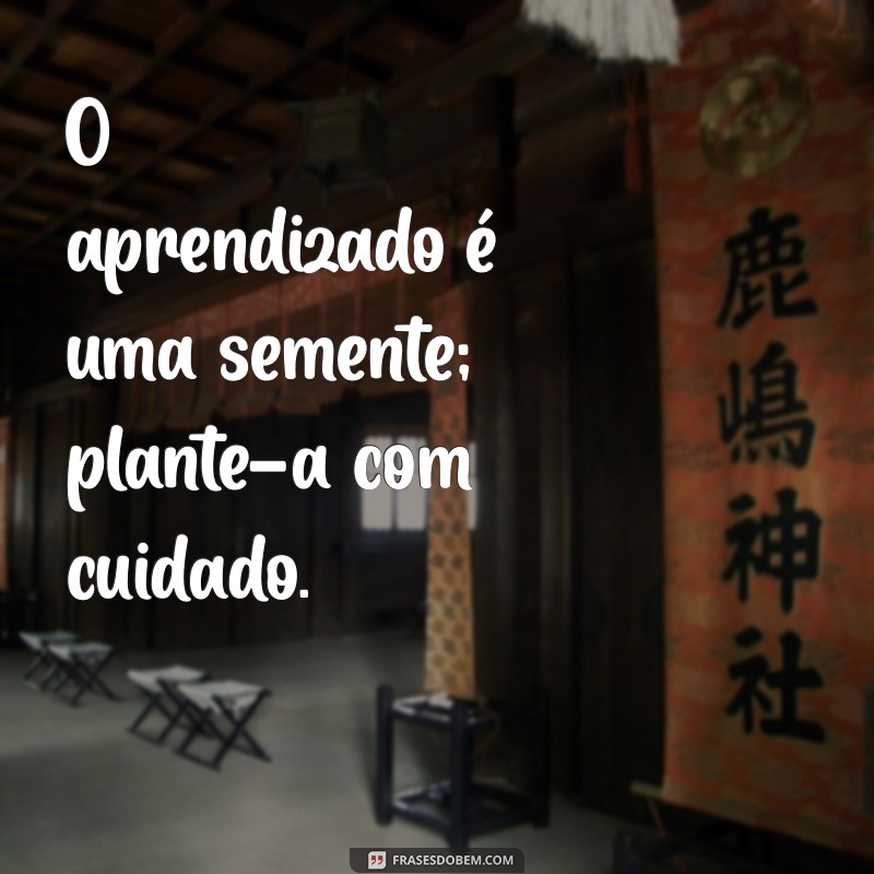 Frases Inspiradoras para Aumentar seu Foco nos Estudos 