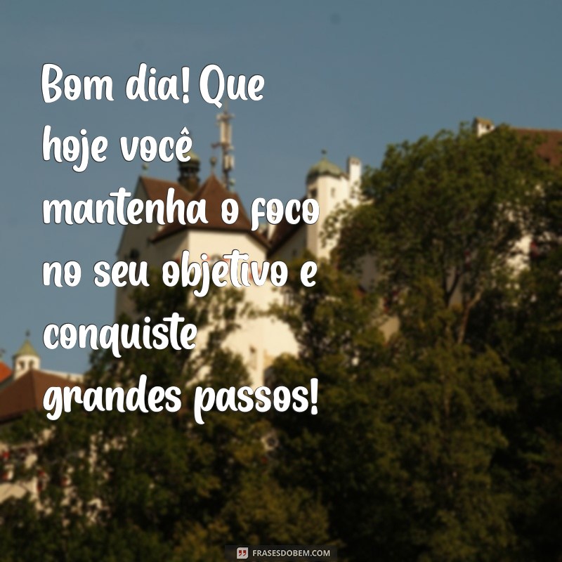 bom dia foco no objetivo Bom dia! Que hoje você mantenha o foco no seu objetivo e conquiste grandes passos!