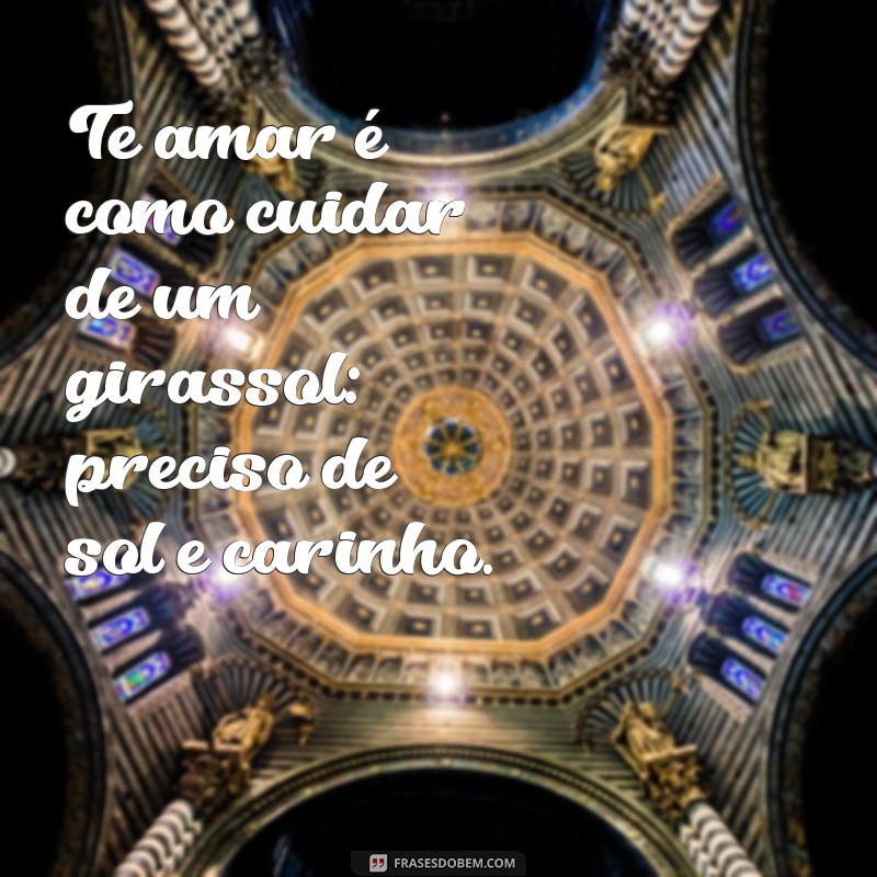 Frases Inspiradoras sobre Amor e Girassóis: Celebre a Beleza do Sentimento 