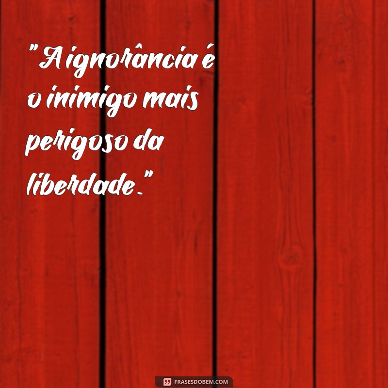 frases de ruy barbosa 