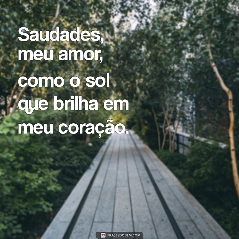 saudades meu amor Saudades, meu amor, como o sol que brilha em meu coração.