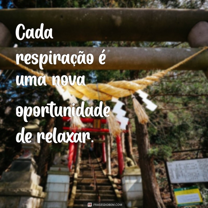 Frases Calmas para Acalmar a Mente e o Coração 