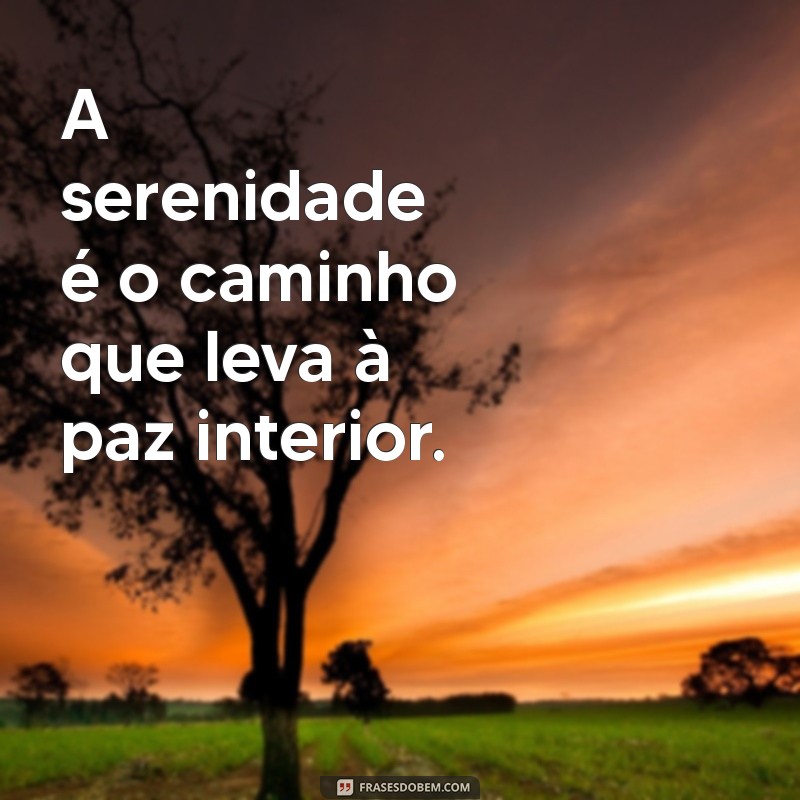 frases calmas A serenidade é o caminho que leva à paz interior.