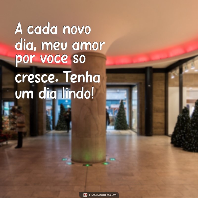 As Melhores Frases de Bom Dia para Encantar Sua Namorada 