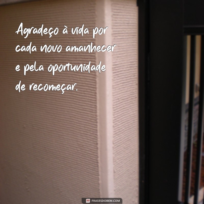 mensagem agradecendo a vida Agradeço à vida por cada novo amanhecer e pela oportunidade de recomeçar.