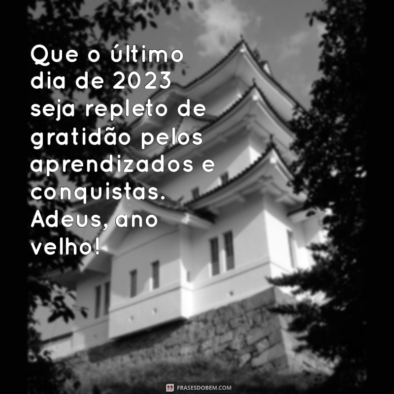 mensagem para último dia do ano 2023 Que o último dia de 2023 seja repleto de gratidão pelos aprendizados e conquistas. Adeus, ano velho!