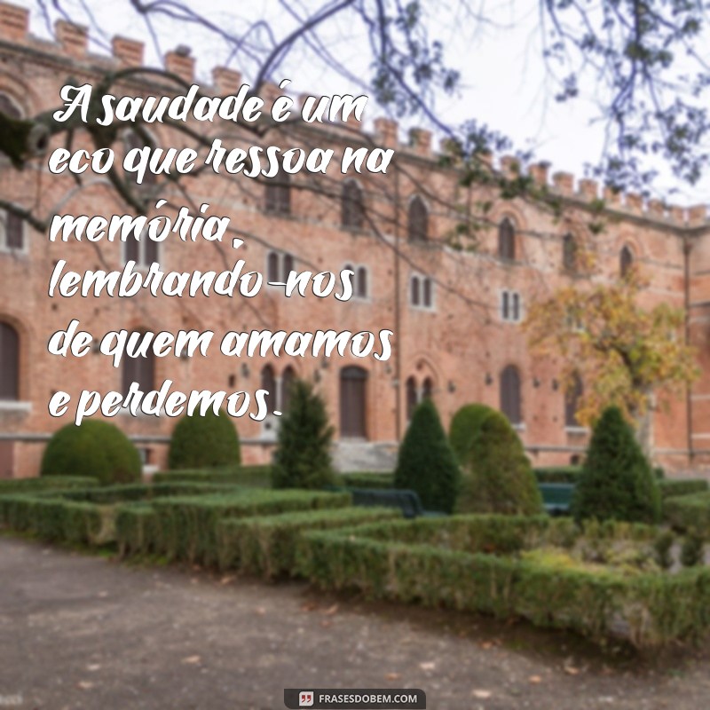 vai deixar saudades luto A saudade é um eco que ressoa na memória, lembrando-nos de quem amamos e perdemos.