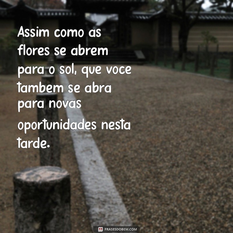 Mensagem de Boa Tarde: Inspire-se com Frases e Imagens da Natureza 