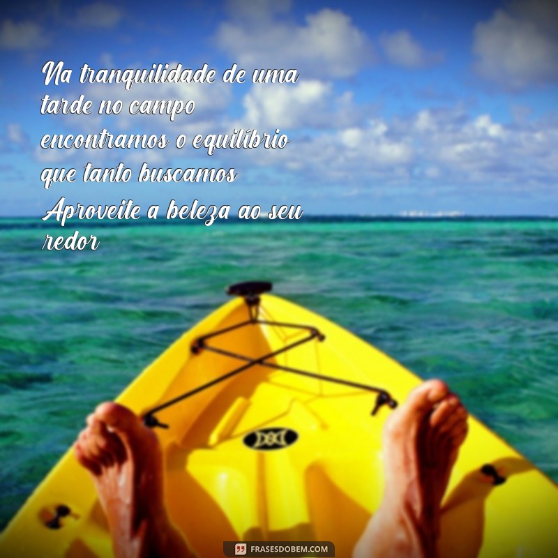 Mensagem de Boa Tarde: Inspire-se com Frases e Imagens da Natureza 