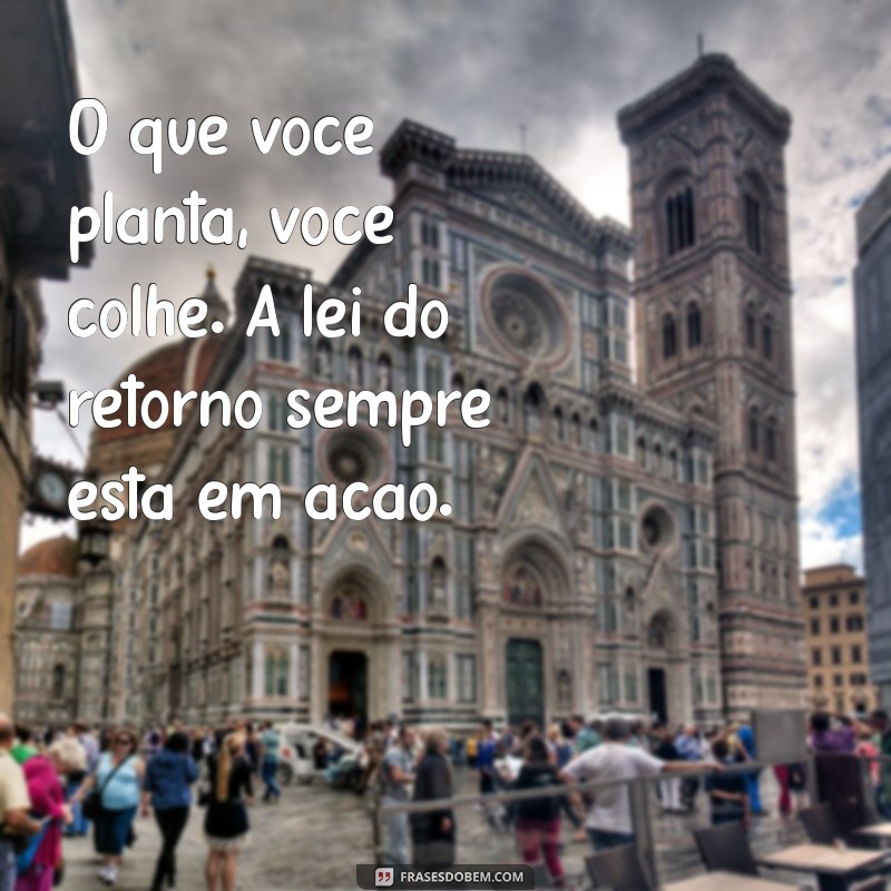 mensagem sobre lei do retorno O que você planta, você colhe. A lei do retorno sempre está em ação.