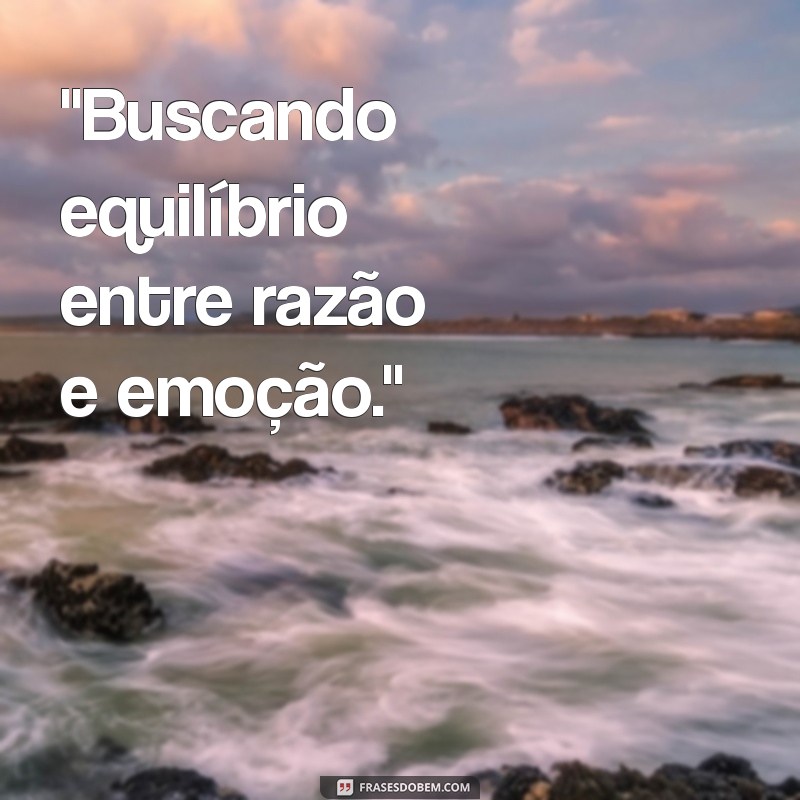 frases racionais para bio do instagram 