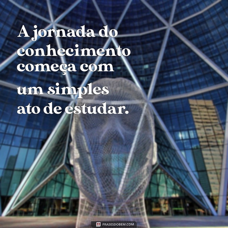 Frases Inspiradoras para Estudar: Motive-se e Aumente Seu Desempenho 