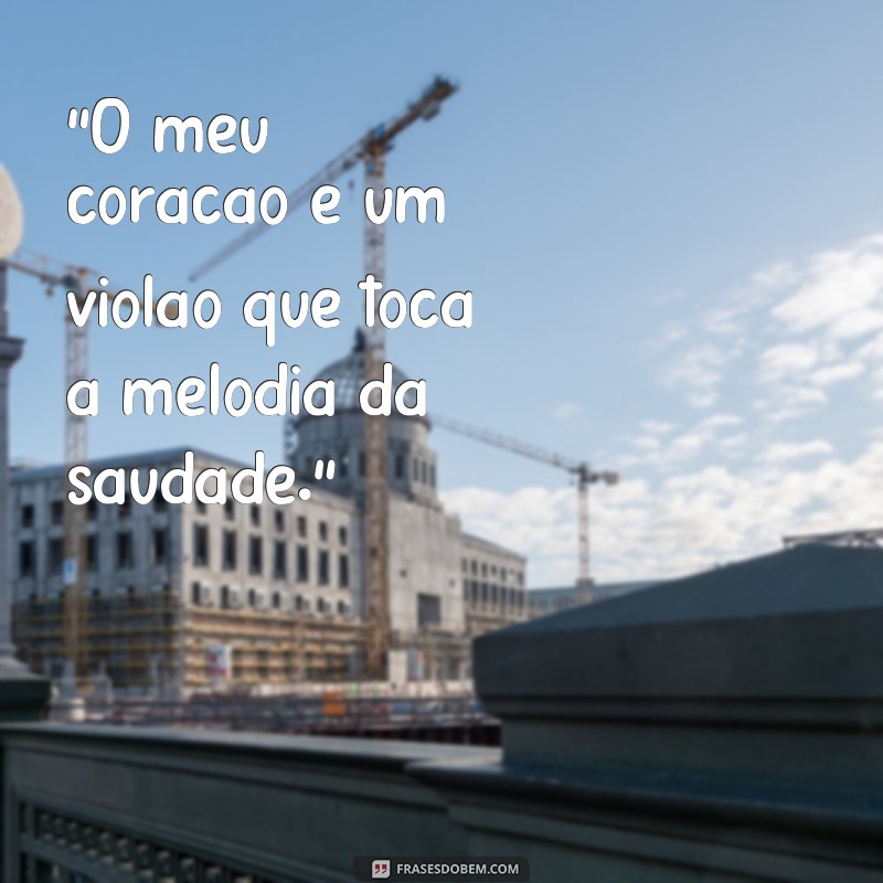 frases de violeiro 