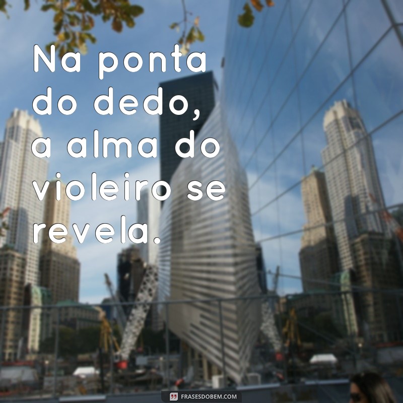 Descubra as melhores frases de violeiro para se inspirar e encantar 