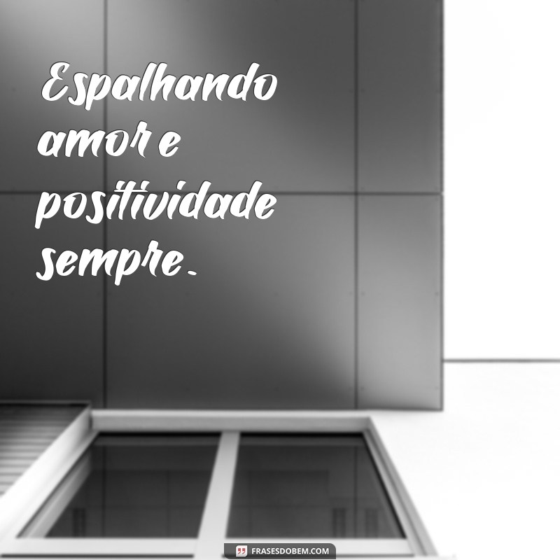 As Melhores Frases para Transformar Sua Bio do WhatsApp 