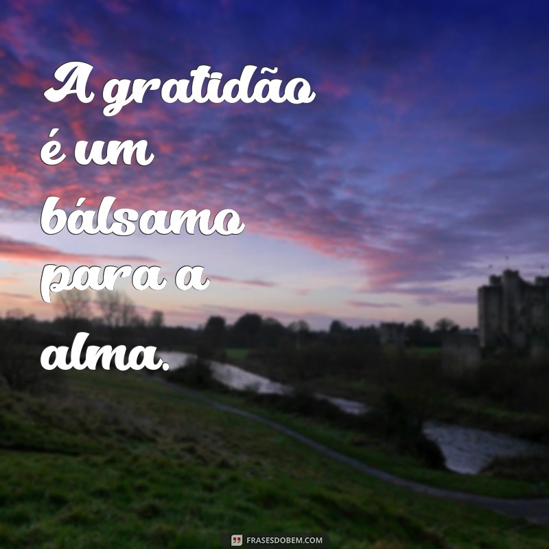 Mensagem de Gratidão: Como Agradecer de Forma Significativa 