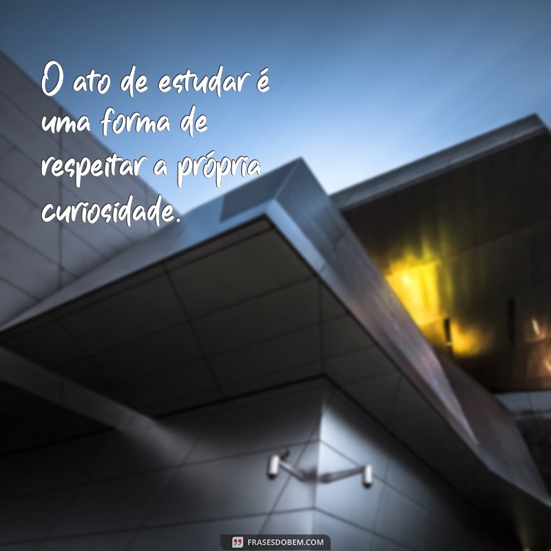 Frases Inspiradoras para Motivar Seus Estudos e Aumentar a Produtividade 