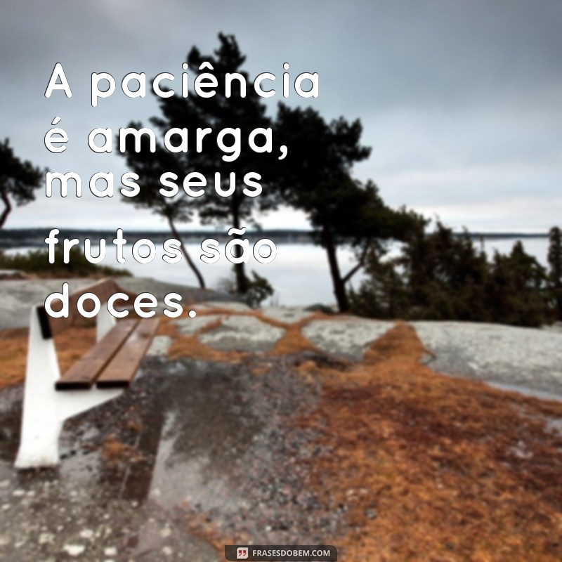 50 Frases Inspiradoras para Bombar Seu Instagram 