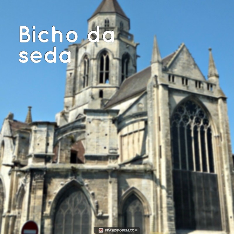 bicho da Bicho da seda