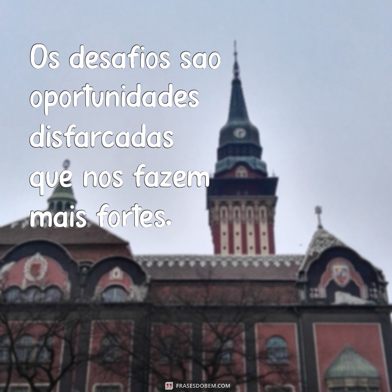 10 Exercícios Práticos para Melhorar suas Frases e Escrita 