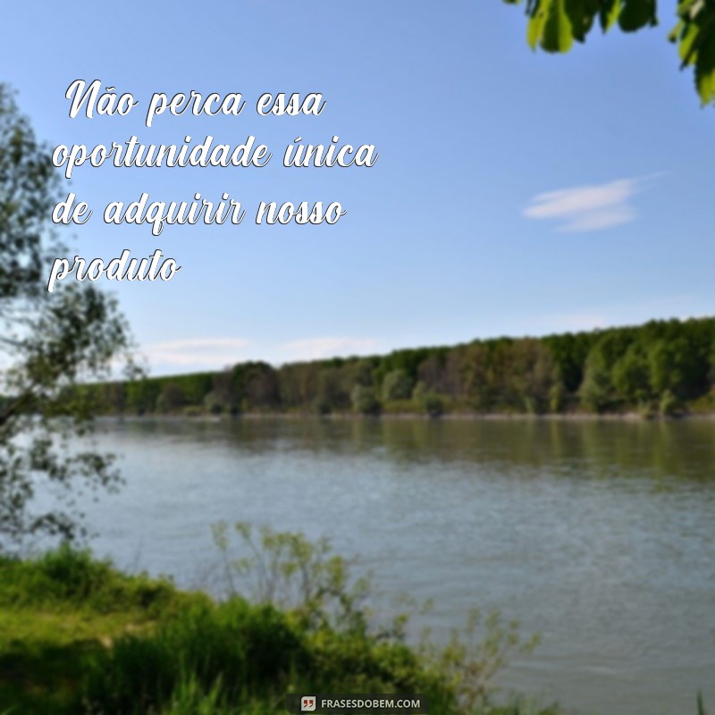 frases de mercado 