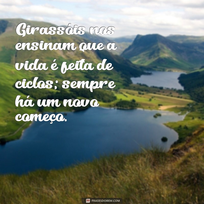 Frases Inspiradoras sobre Girassóis: A Beleza e a Luz da Natureza 