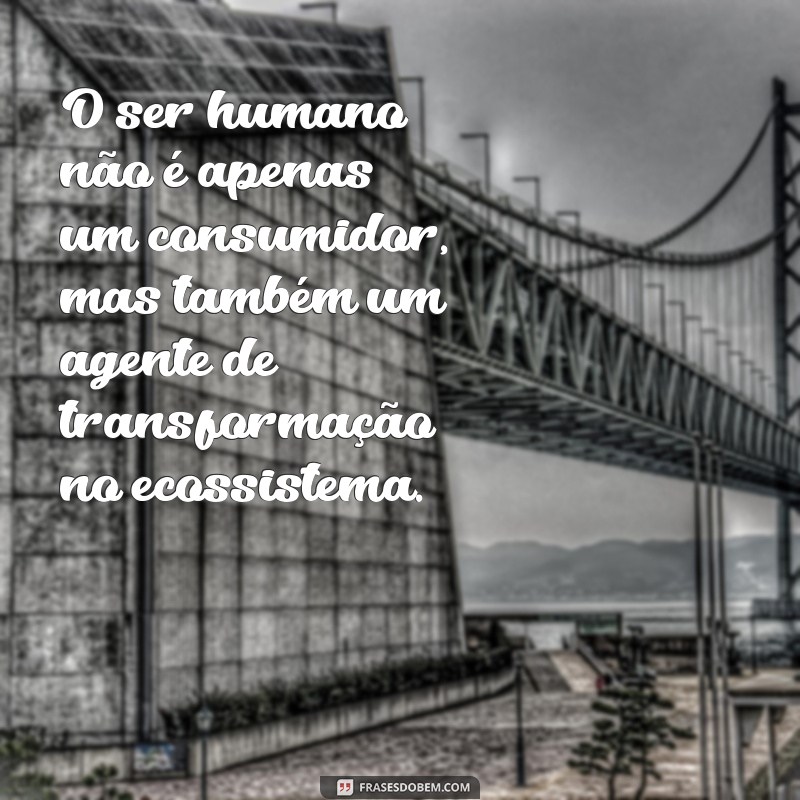 Por que o Ser Humano é Considerado o Topo da Cadeia Alimentar? 