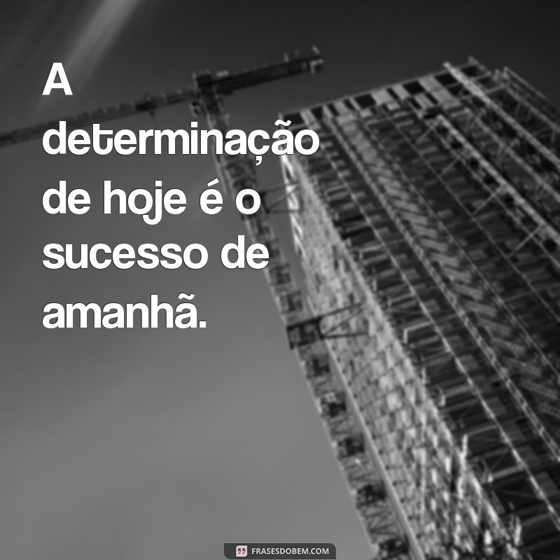 Frases de Sucesso: Inspiração e Motivação para Alcançar Seus Objetivos 