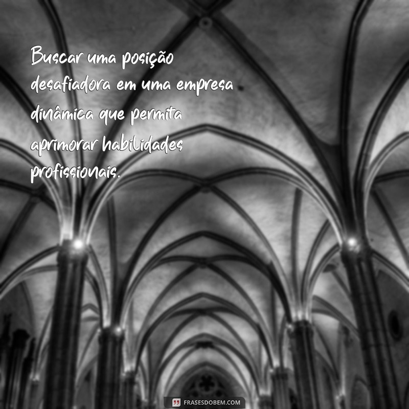 objetivo generico para curriculo Buscar uma posição desafiadora em uma empresa dinâmica que permita aprimorar habilidades profissionais.