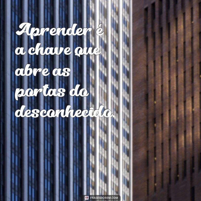 frases de aprender Aprender é a chave que abre as portas do desconhecido.