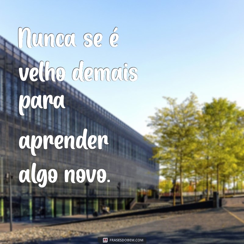 Frases Inspiradoras para Facilitar o Aprendizado 